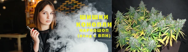 ешки Бронницы