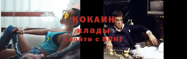 ешки Бронницы