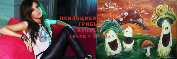 мяу мяу кристалл Бородино